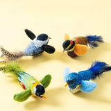 Birds Cat Toy