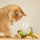 Birds Cat Toy