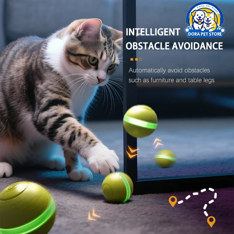 New pet self entertainment toy car, cat teasing tool, electric flying fish, intelligent running car, cat toy