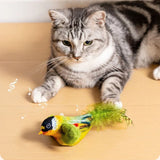 Birds Cat Toy