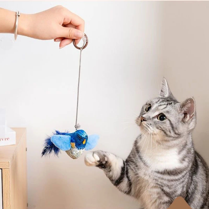 Pet Accessories