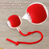 Automatic Cat Rolling Ball