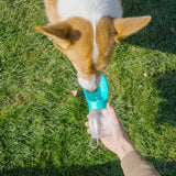 Pet Dog Water Bottle